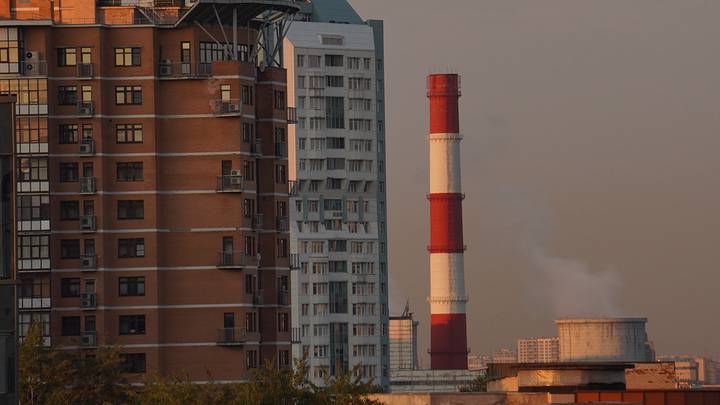 Фото: Анатолий Цымбалюк / Вечерняя Москва