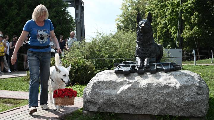 День служебной собаки в музее Г.О.Р.А. / Фото: Алексей Орлов / Вечерняя Москва