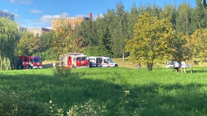 Девочка утонула в пруду на северо-западе Москвы