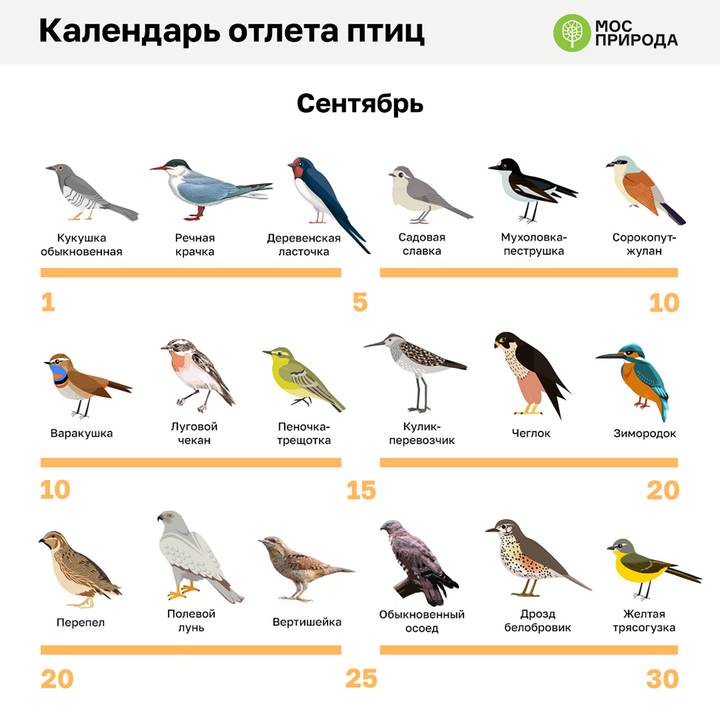 Фото: Telegram / Мосприрода Фото: Telegram / Мосприрода