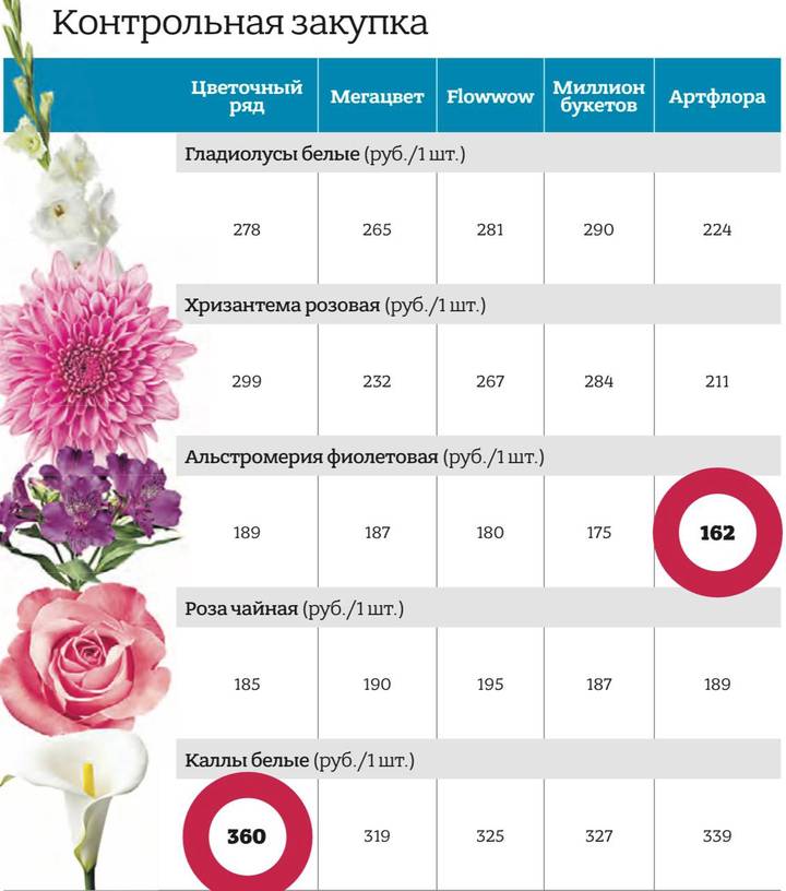 Как правильно составить букет для школьника