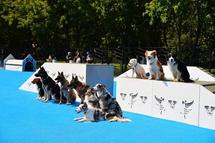 Фото: Пресс-служба АНО «Мой район»