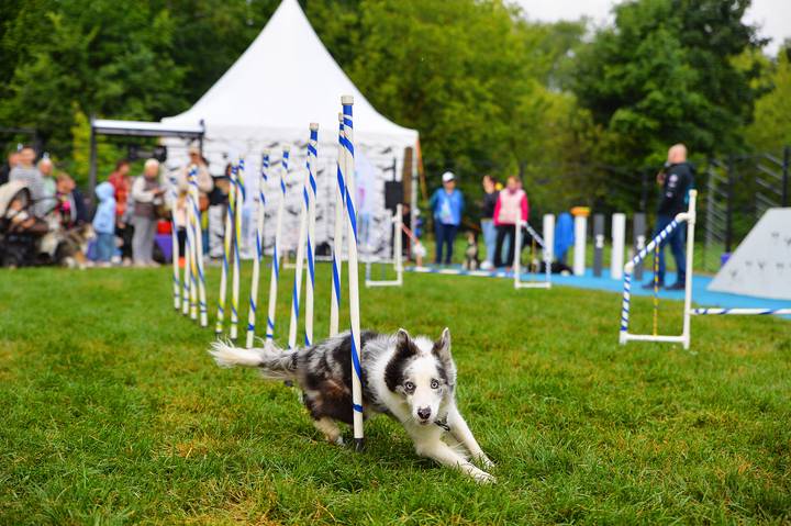Фото: Пресс-служба АНО «Мой район»