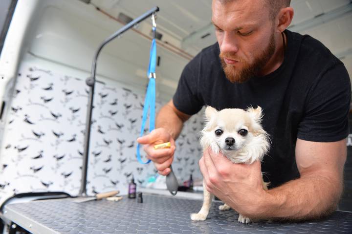 Фото: Пресс-служба АНО «Мой район»