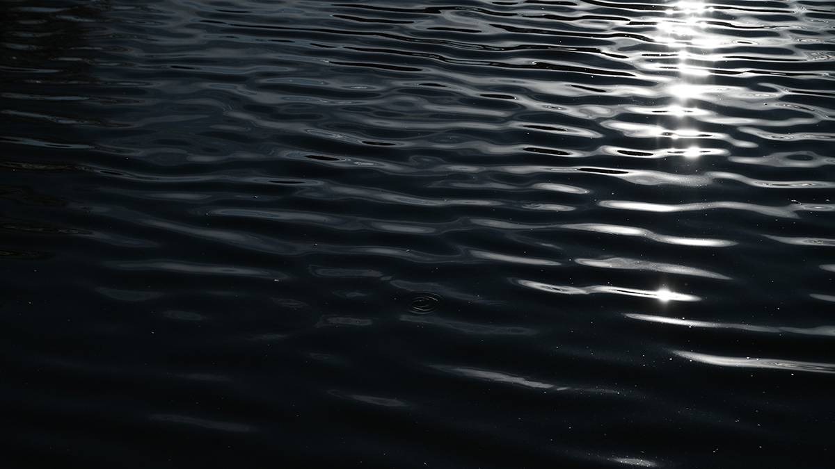 Не предел: Уровень воды в реке Урал за ночь поднялся почти на 50 сантиметров