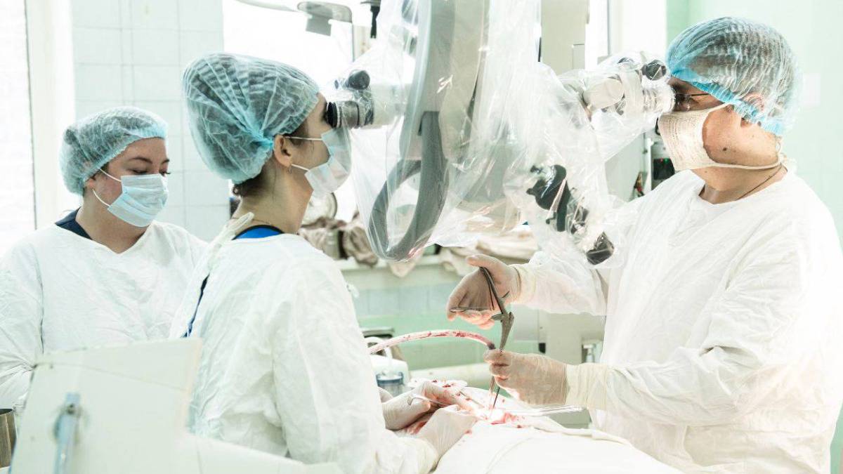 Хирурги извлекли арбалетную стрелу из головы мужчины в Подмосковье