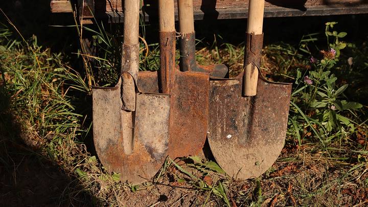 Люди просили закопать их в землю в Ленобласти: в чем смысл таких обрядов и опасны ли они