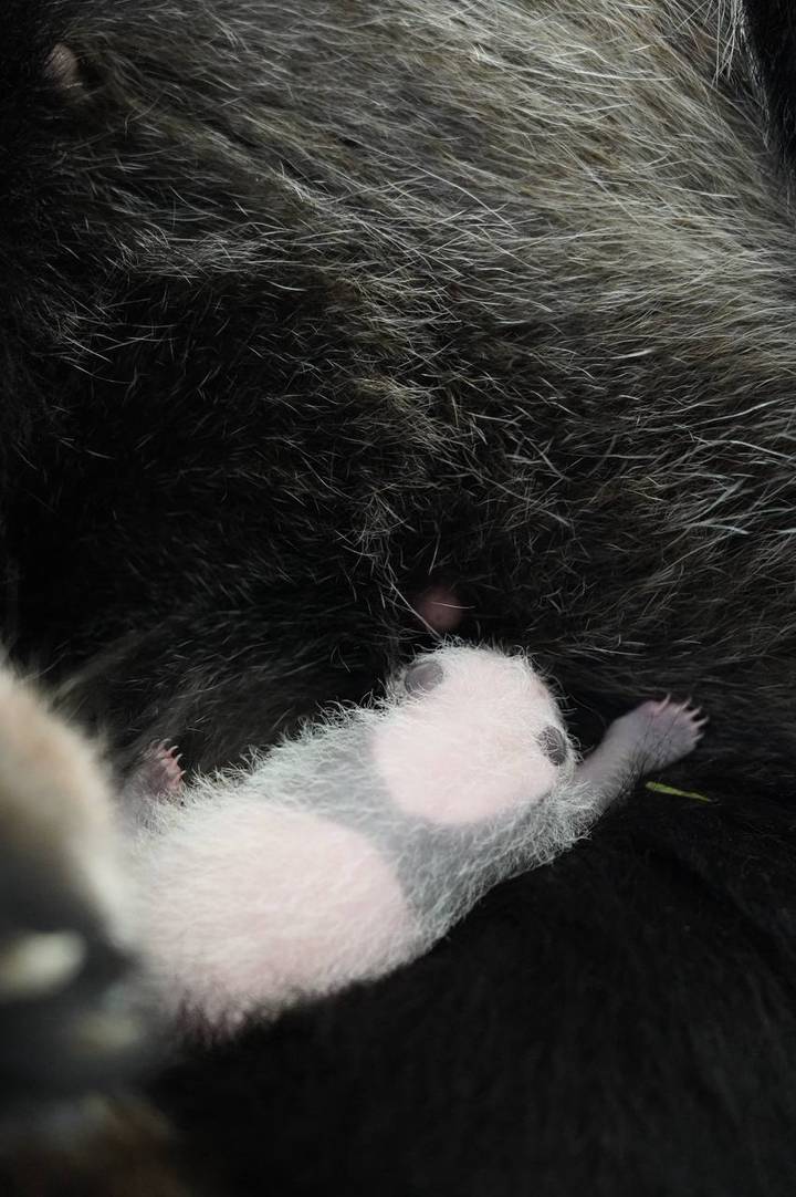 Фото: Telegram / Светлана Акулова