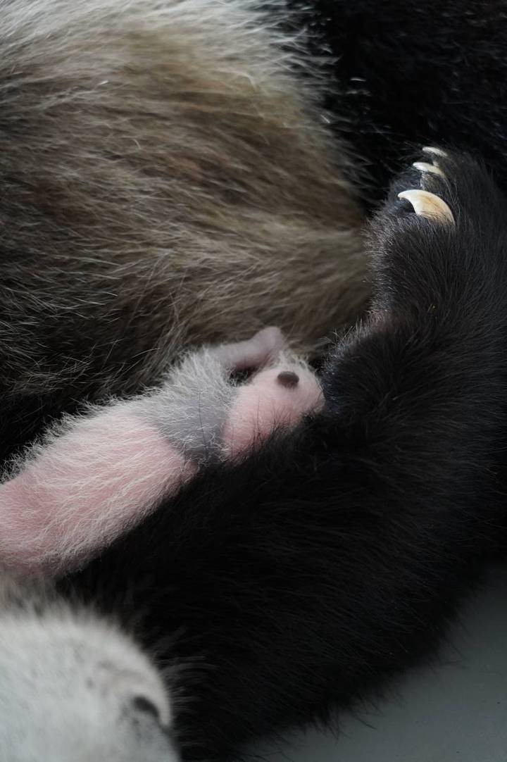 Фото: Telegram / Светлана Акулова