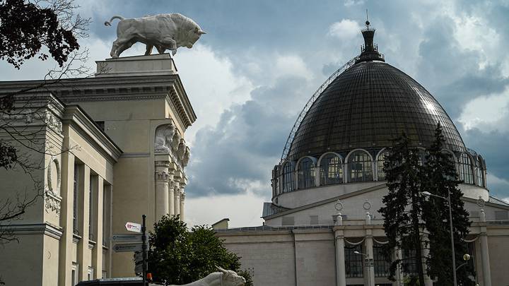 Фото: Алексей Орлов / Вечерняя Москва