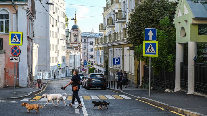 Фото: Алексей Орлов / Вечерняя Москва