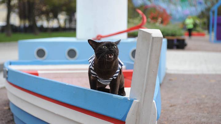 Празднование дня города в Москве / Фото: Пелагия Замятина / Вечерняя Москва