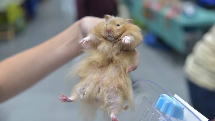 Фото: Наталья Феоктистова / Вечерняя Москва