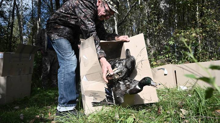 Выпуск животных в ТИНАО / Фото: Алексей Орлов / Вечерняя Москва