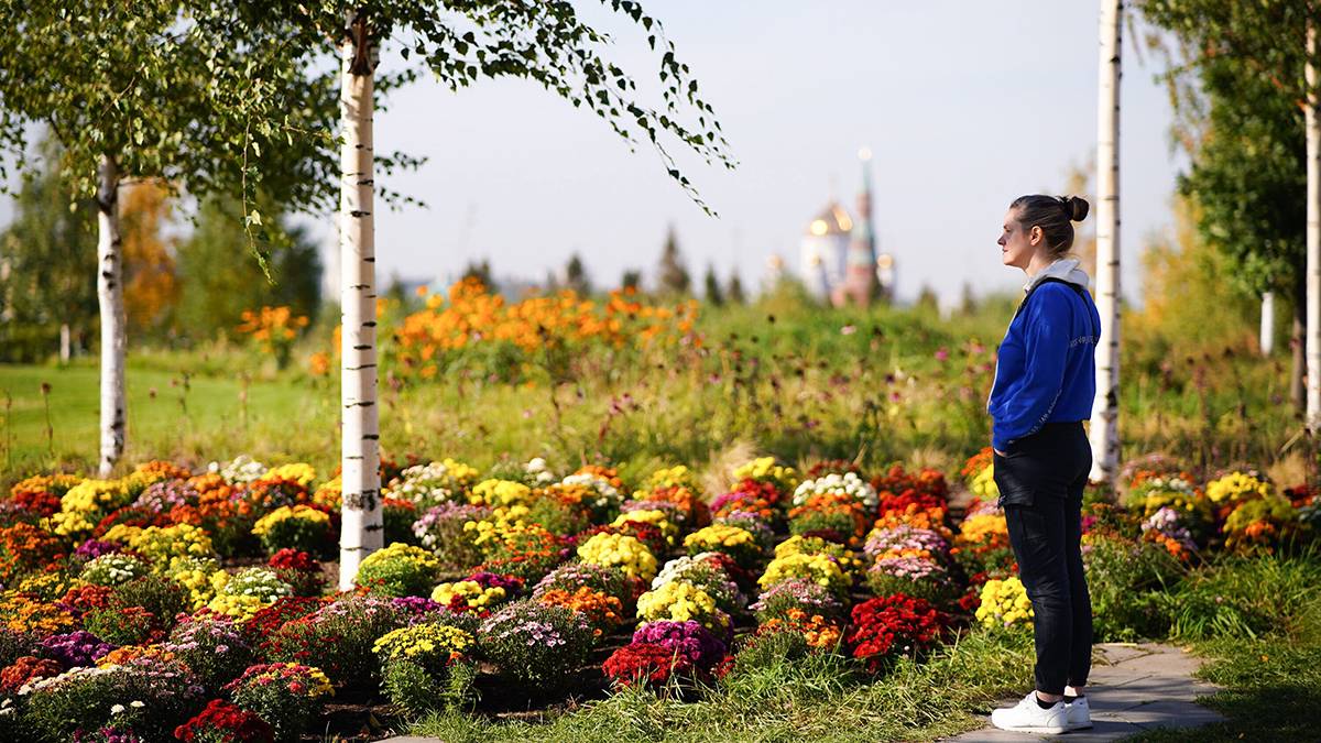 Около 330 миллионов рублей выделено на создание экопромышленных парков в РФ