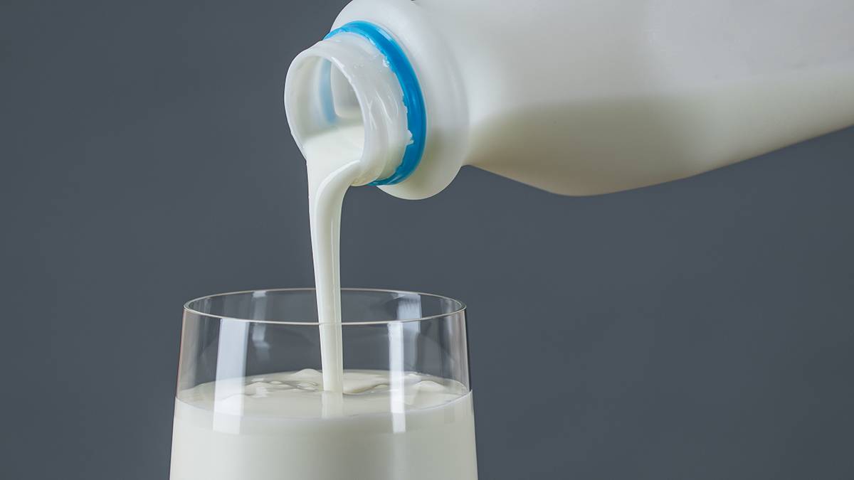 Диетолог Бобровский объяснил, какие кисломолочные продукты вредны для здоровья