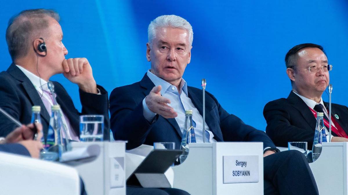 Собянин рассказал на «Российской энергетической неделе» о московской энергетике