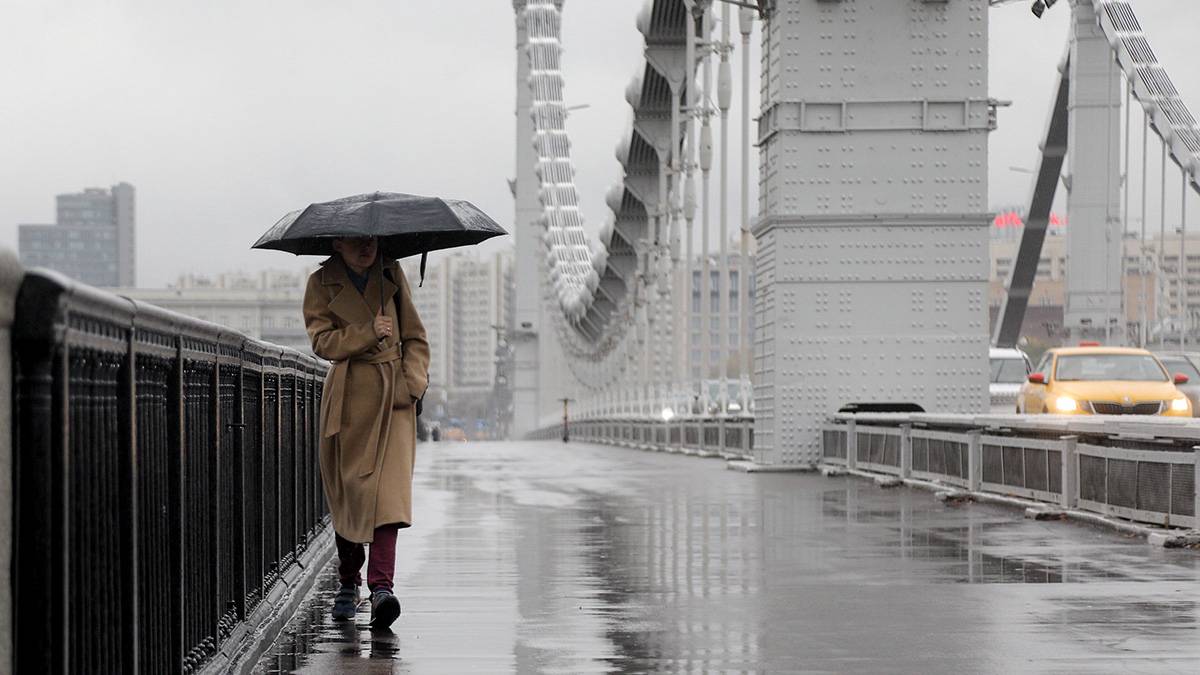 Синоптики спрогнозировали небольшой дождь в Москве 29 марта