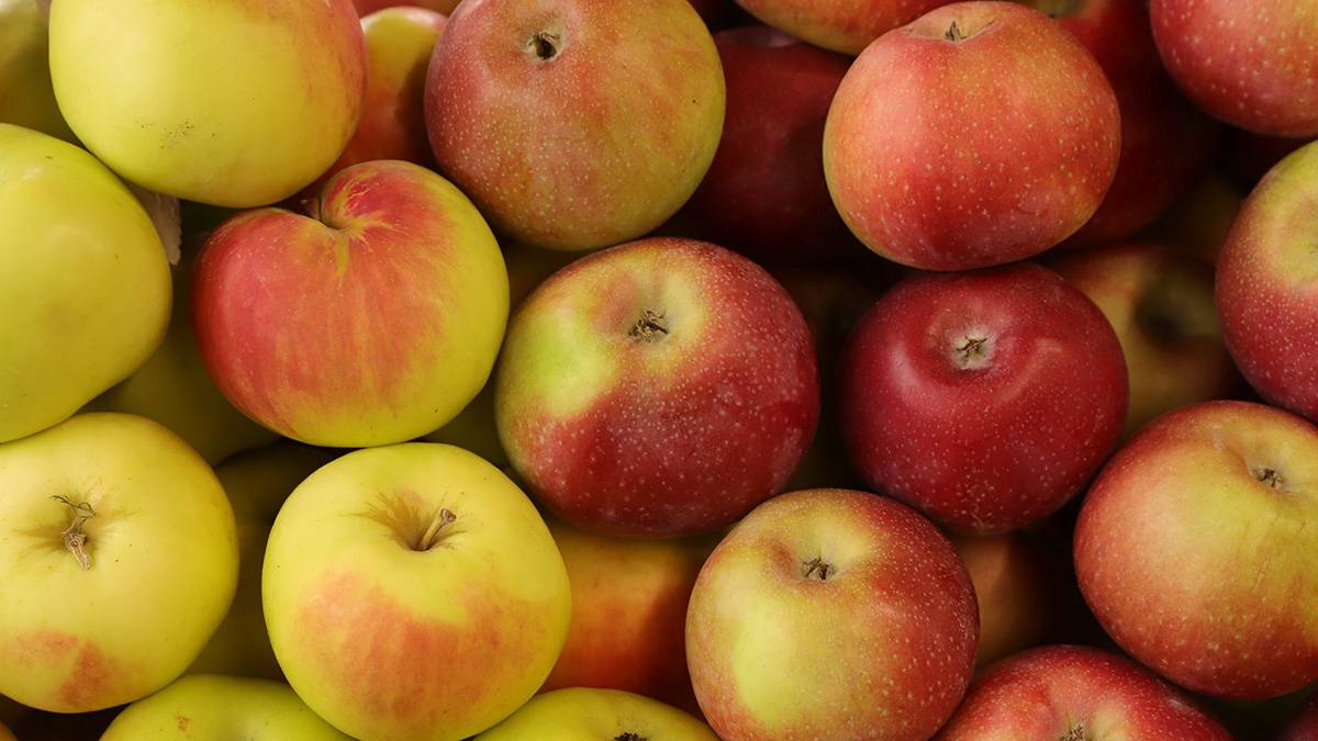 Нутрициолог Глинкина рассказала о фрукте, который может предотвратить рак 
