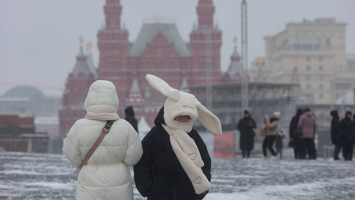 «Совершенно зимняя»: Вильфанд рассказал о погоде в Москве в праздничные выходные