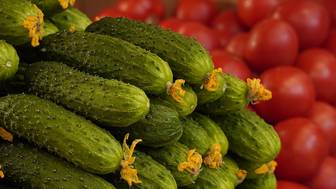 «Известия»: ФАС проверит резкое подорожание огурцов в России