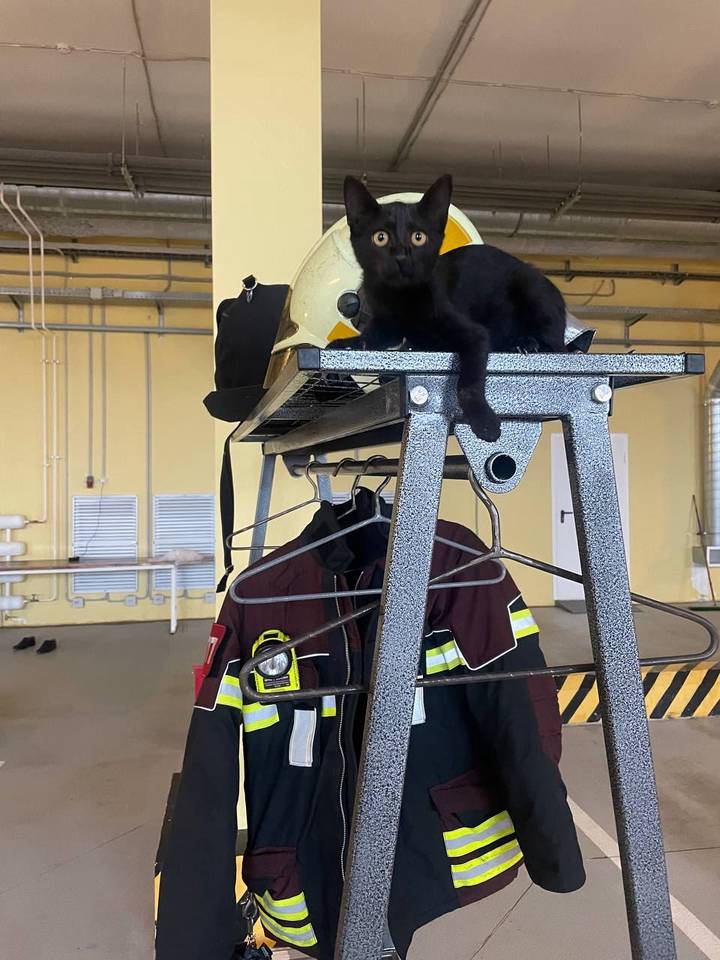 Фото: Telegram / ЧСтные новости Москвы