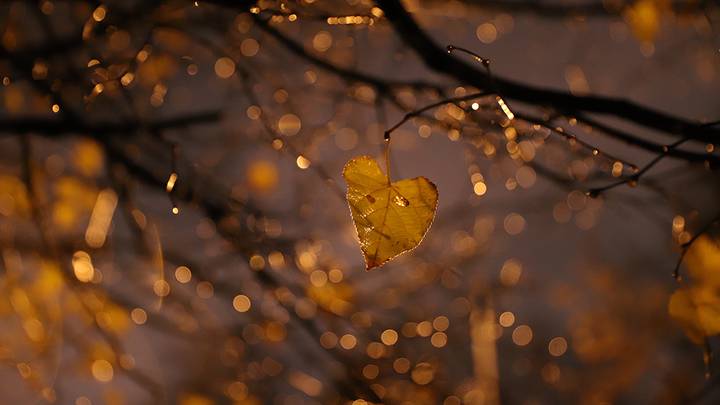  Природа умеет удивлять