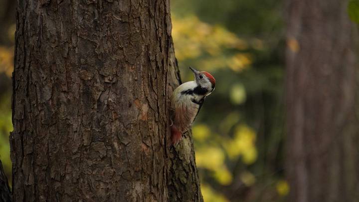 Да что мы знаем о мире за окном