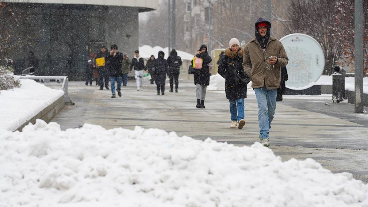 МЧС предупредило москвичей о мокром снеге и сильном ветре 26 ноября