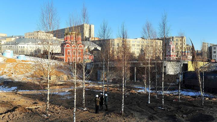 Высадка деревьев в парке «Зарядье» / Фото: АГН Москва
