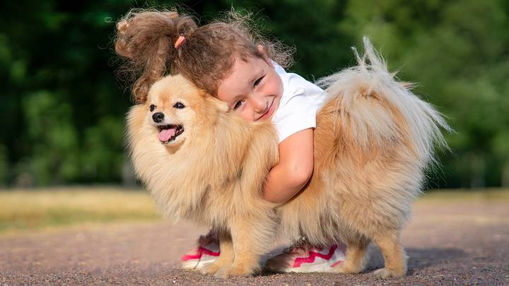 Названы 10 пород собак, которые идеально подойдут для небольшой квартиры