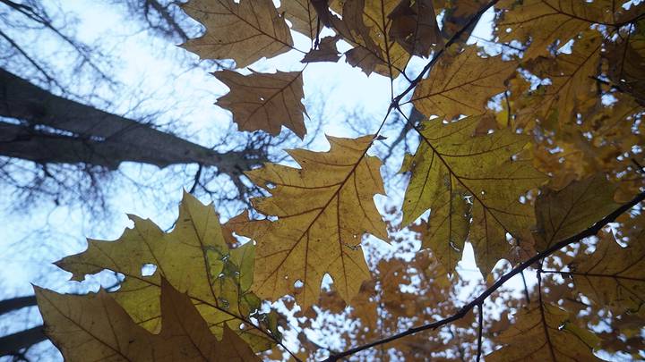 Когда привыкаешь к хорошему