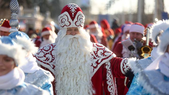 Средняя цена елки на дому в Москве — от 5 до 20 тысяч рублей за 30-минутное поздравление.