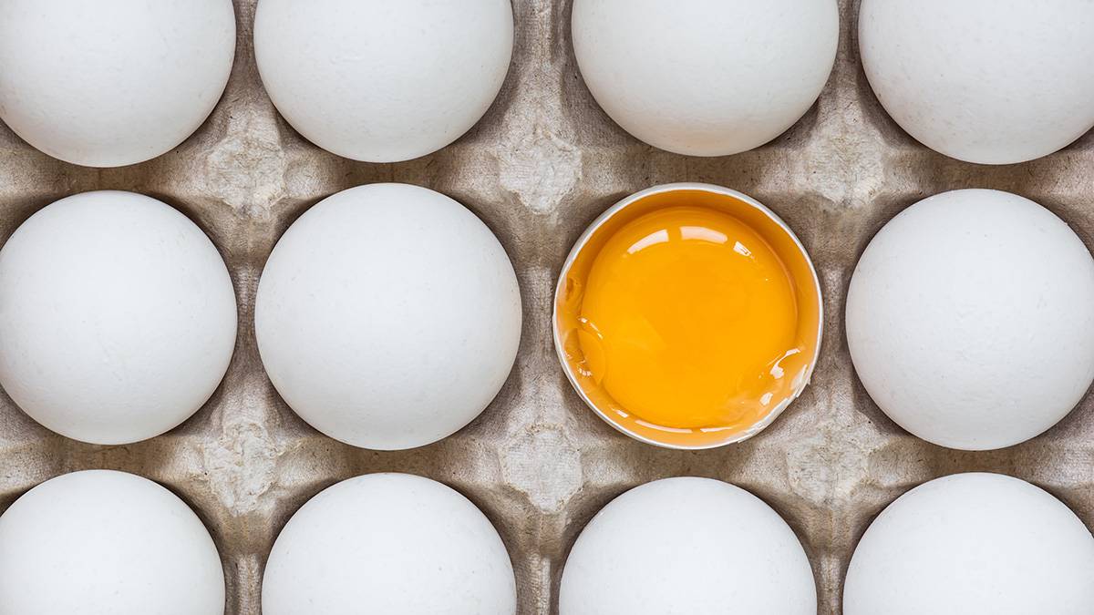 Врачи рассказали, сколько яиц в неделю можно съедать без вреда для здоровья