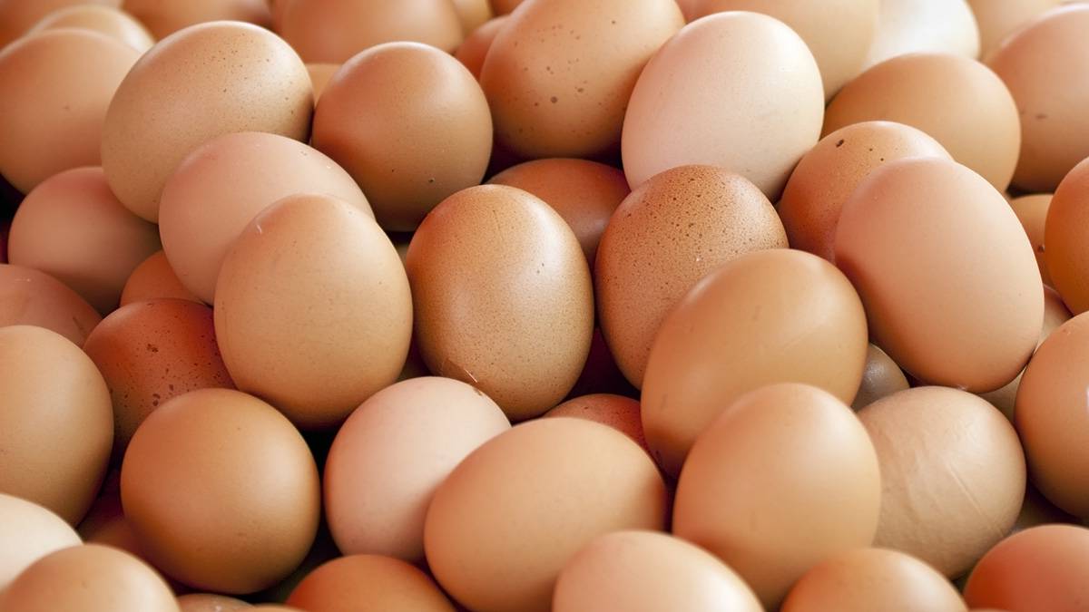 Экономист Потапенко рассказал, снизится ли цена на яйца в ближайшее время