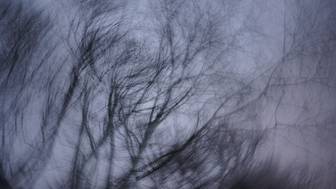 Эксперт назвал последнее возможное место укрытия пропавшей семьи Усольцевых