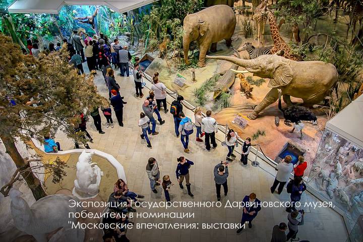 Фото: Telegram / Мэр Москвы Сергей Собянин