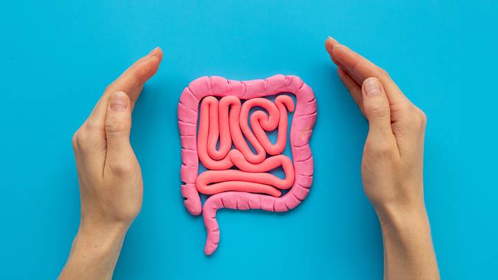 Доктор Ли назвала симптомы рака кишечника, обнаружение которых спасет жизнь Доктор Ли назвала симптомы рака кишечника, обнаружение которых спасет жизнь