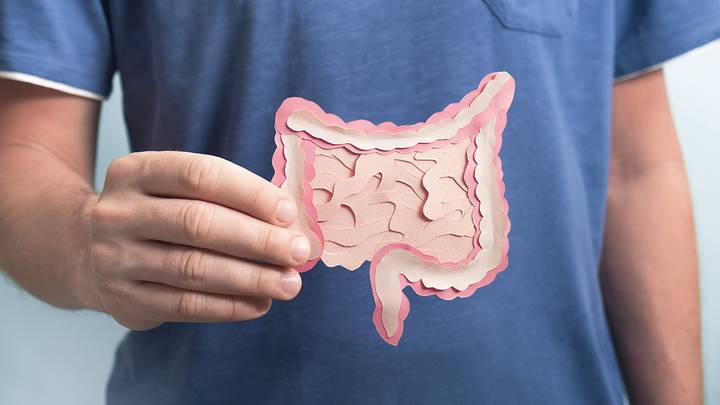 Какие продукты улучшают микрофлору кишечника Какие продукты улучшают микрофлору кишечника