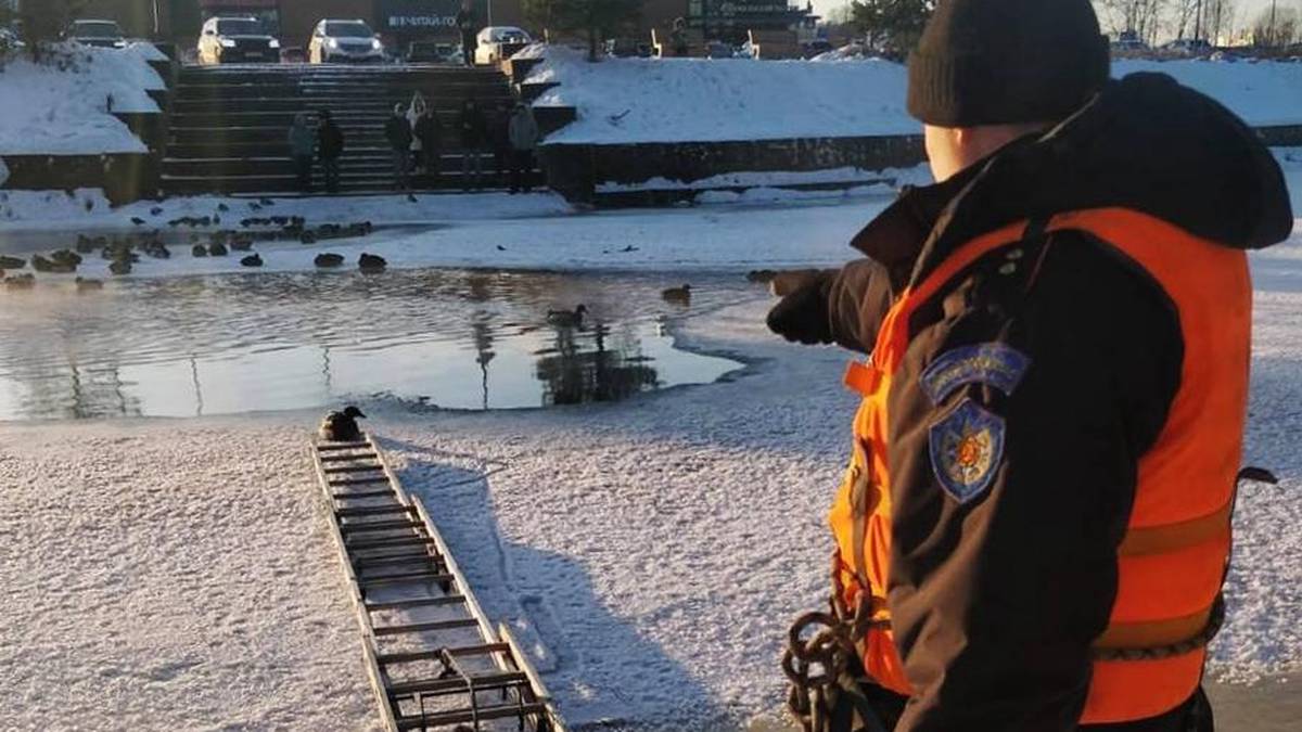 Не впадает ни одной реки