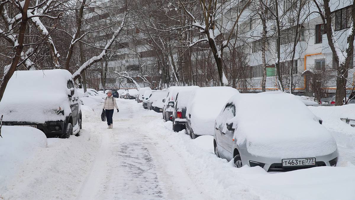 МЧС предупредило москвичей о мокром снеге и сильном ветре до утра 18 февраля