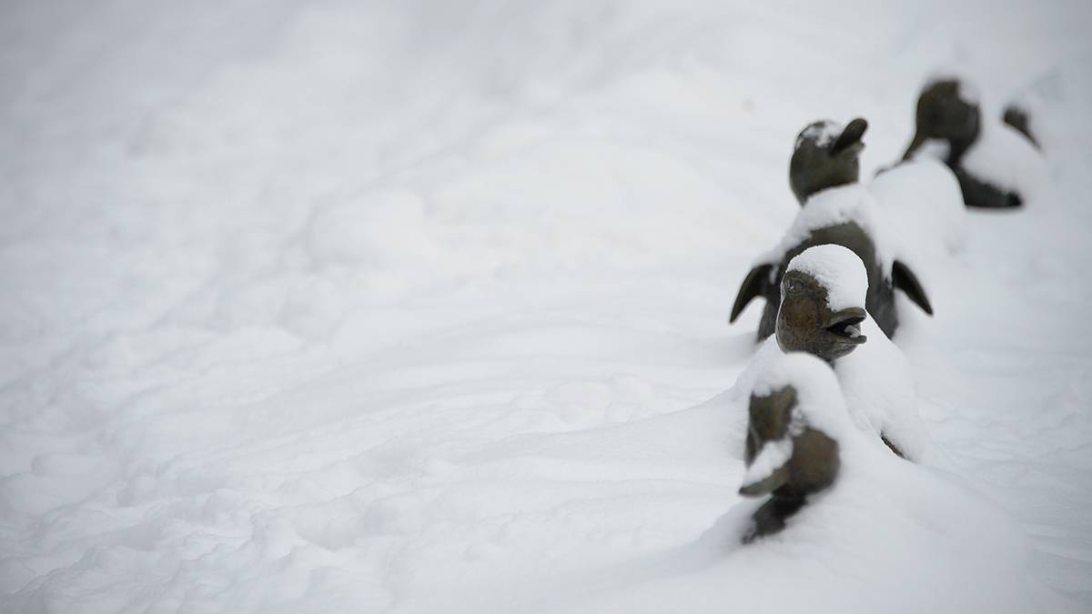 «Весна взяла паузу»: синоптик Ильин рассказал, когда в Москве растает снег