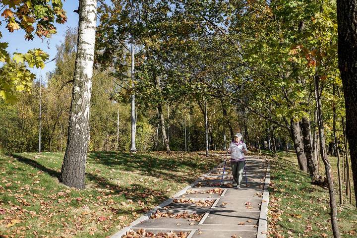 Фото: Telegram / Городское хозяйство Москвы