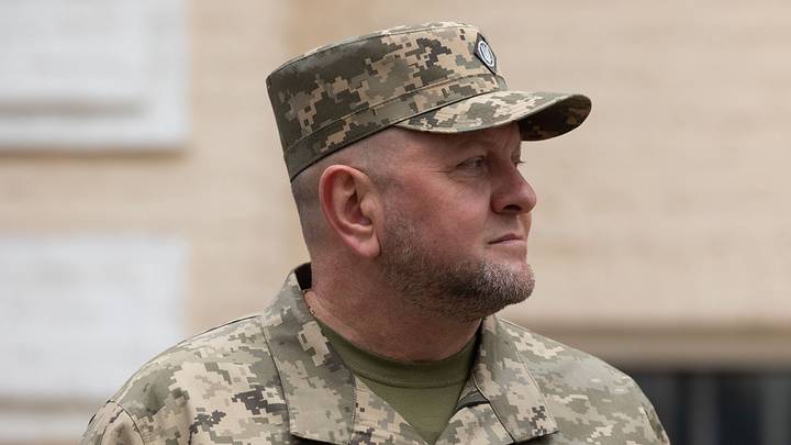 Паны-атаманы рвут чубы: «увольнение Зеленским Залужного» превращается в сериал