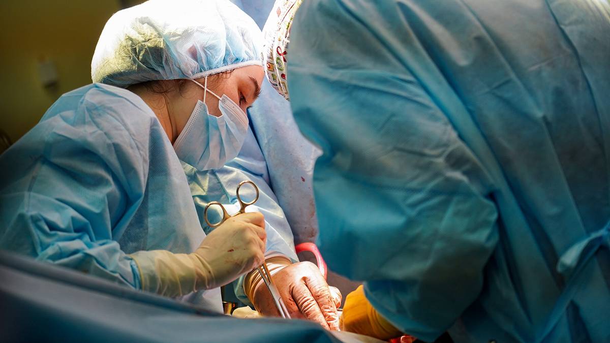 Подмосковные врачи вырастили кожу на голове женщины после нападения собаки