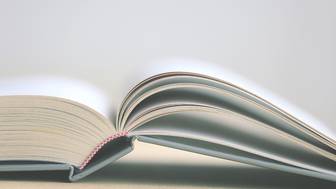 Спрос на книгу «Легкий способ бросить пить» вырос в новогодние праздники