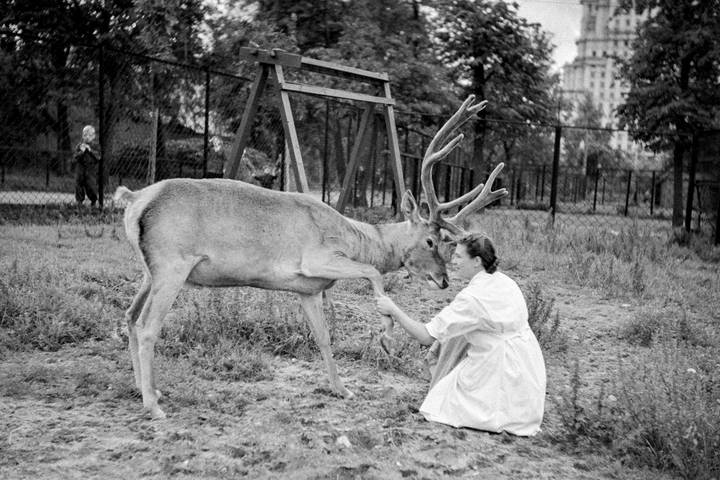 Фото: mos.ru / Официальный сайт мэра Москвы Фото: mos.ru / Официальный сайт мэра Москвы