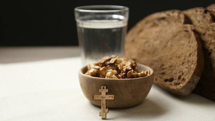  Постимся постом приятным! Слон, который не ел мяса