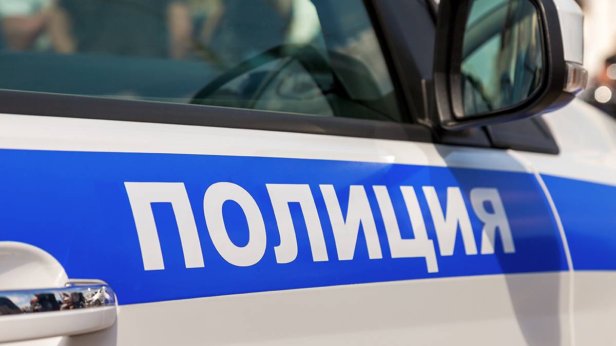 Мужчина украл телефон на детской площадке в Москве