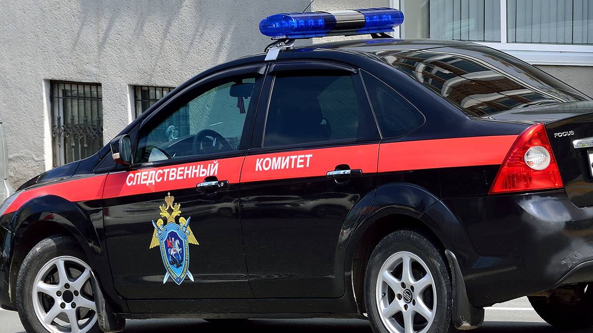 Уголовное дело возбудили против сотрудников МВД, которые избили мужчину в Подмосковье